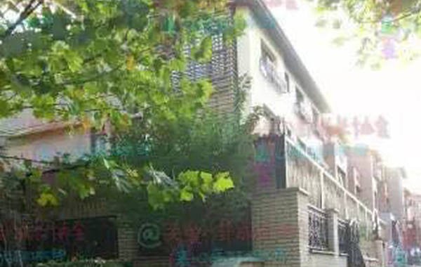 孙俪体检报告出炉 一句话道破当女明星的难处-信息快讯网