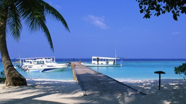 明星结婚地点大盘点！你最喜欢的结婚地点在哪？