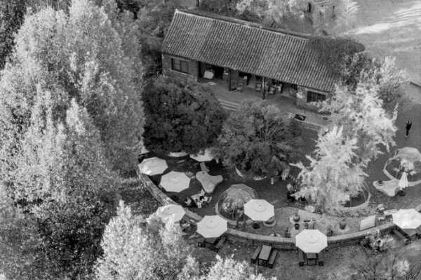 金叶映千年 汤泉这场银杏艺术集藏不住了