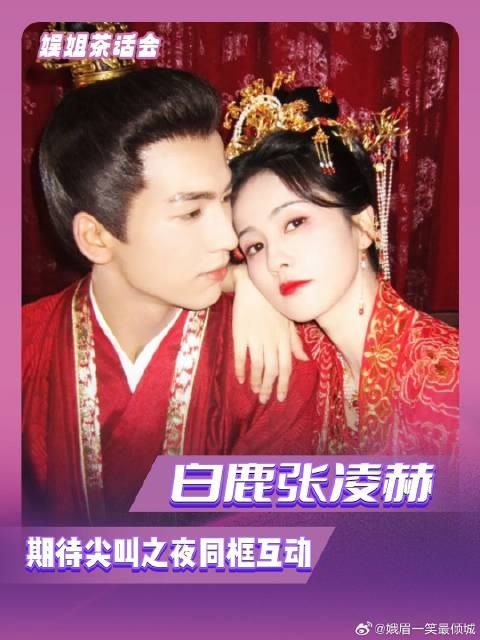 白鹿张凌赫尖叫之夜能不能梦一个绝美同框!