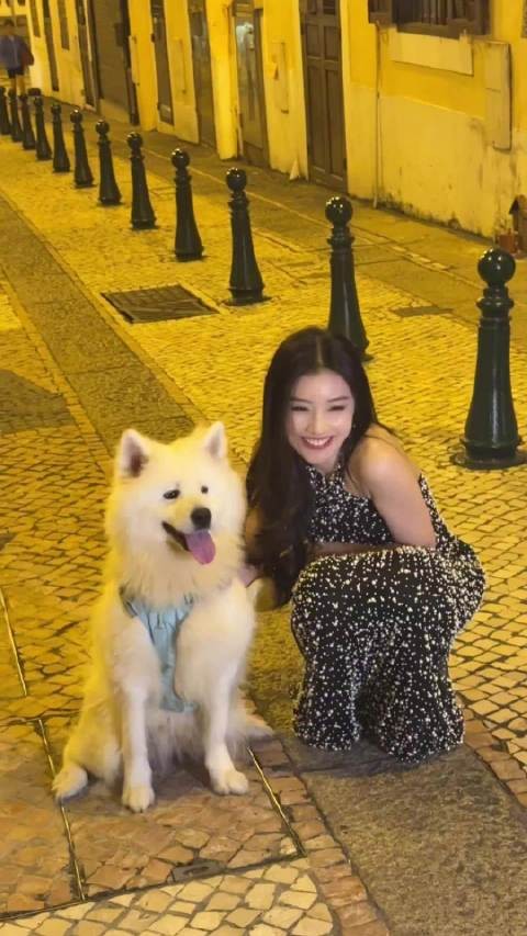 王鹤润尖叫之夜与狗狗接吻引热议