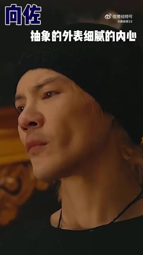 向佐节目剖白展现真实自我