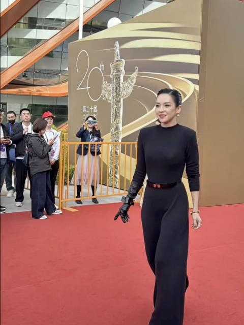 章子怡之前华表奖的红毯，这个体态真绝