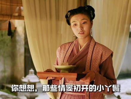 原来原著里的长柏如此妙趣横生 知否知否应是绿肥红瘦