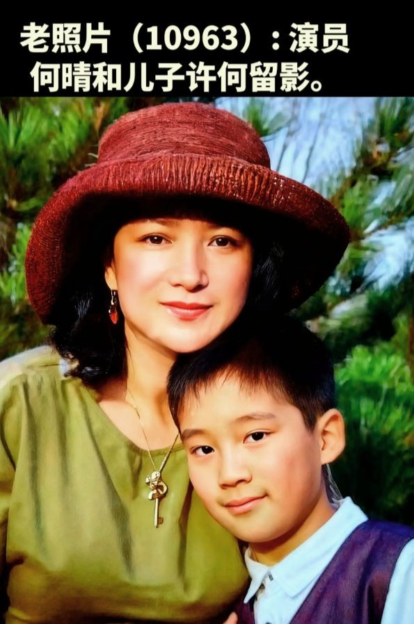 何晴去世后续：同学曝其生前诸多苦恼，儿子出生户口不能上自己家