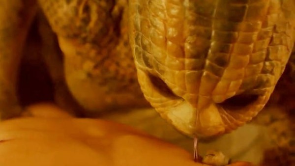 高端的猎人往往以猎物出现