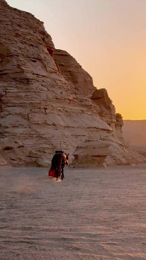 陈都灵在这个沙漠拍的每套都好美啊，感觉她的气质真的超级的好！