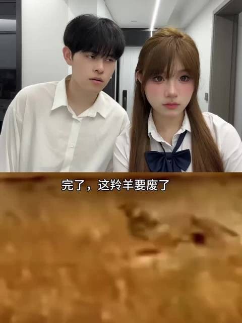 不是这对吗情侣日常