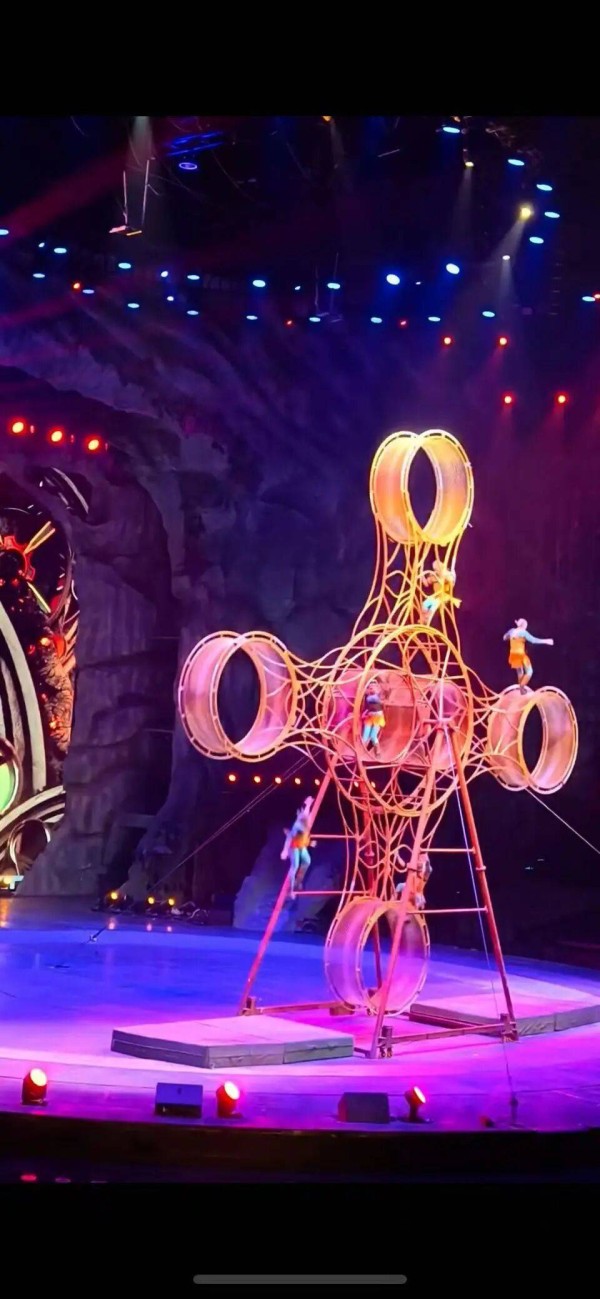 湖州一位杂技演员表演中从高处坠落，马戏团：经检查为肌肉拉伤