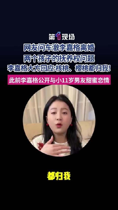 车澈李嘉格孩子抚养权