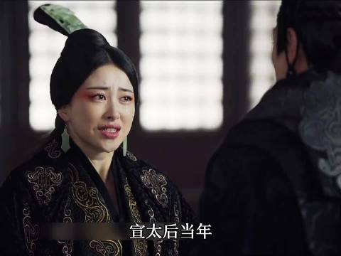 赵姬拿自己与宣太后作比，想要让嬴政放过她与嫪毐所生的孩子