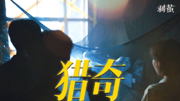 双性人模仿蜘蛛作案,受害者无性别规律