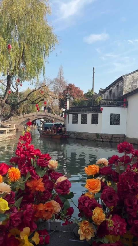 原来张馨予的蝴蝶发饰1元1只 戴出高定质感！