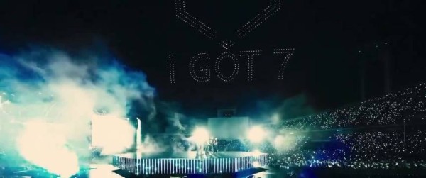 2026年也会继续陪伴你们 鸟宝宝们新的一年也要充满幸福