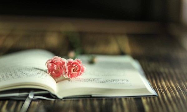 席慕蓉的一首经典情诗，一开篇就够肉麻，短短几句美得令人心醉