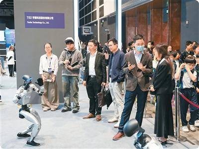 在香港,感受科技与艺术融合之美