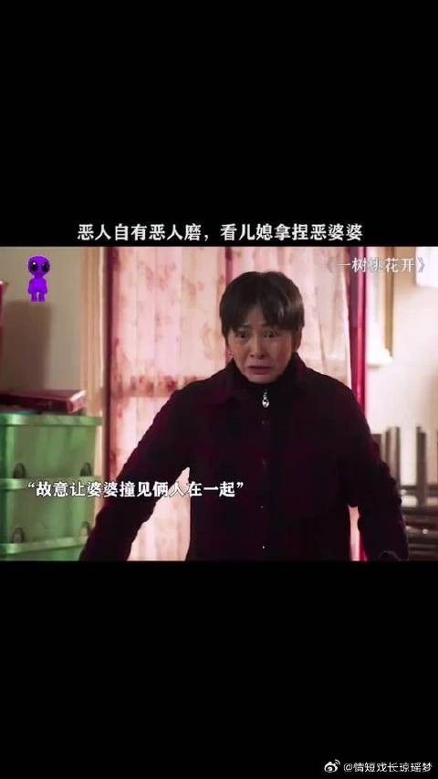 婆婆以为第二任儿媳是软柿子，结果儿媳把她治的服服帖帖