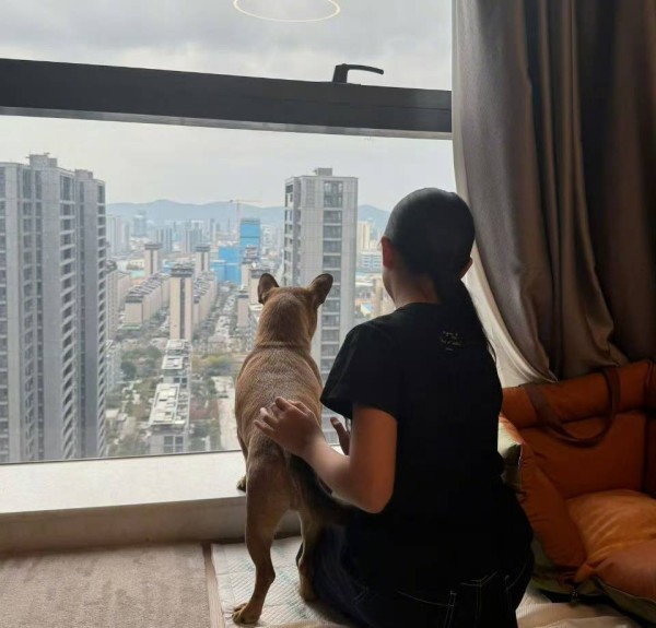 孙俪晒11岁女儿小花背影，和邓超复制粘贴，穿兄妹装撸狗超有爱