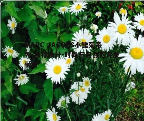 二、小雏菊系列的产品特点