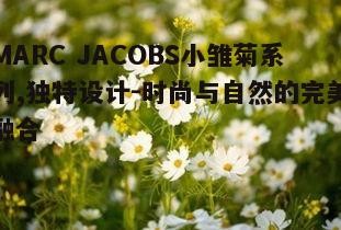 四、小雏菊系列的文化内涵