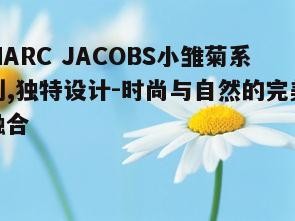 三、小雏菊系列在时尚界的地位