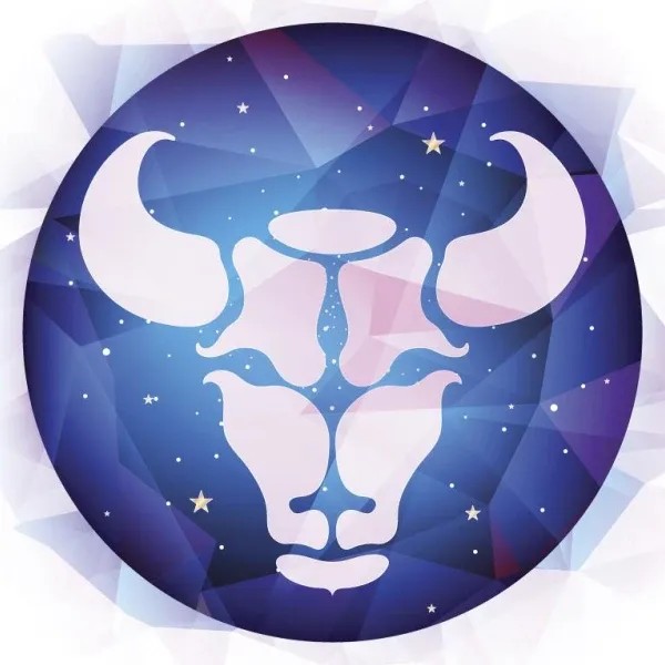 四象星座配对指南：揭秘土水火风的元素恋爱法则 第1张