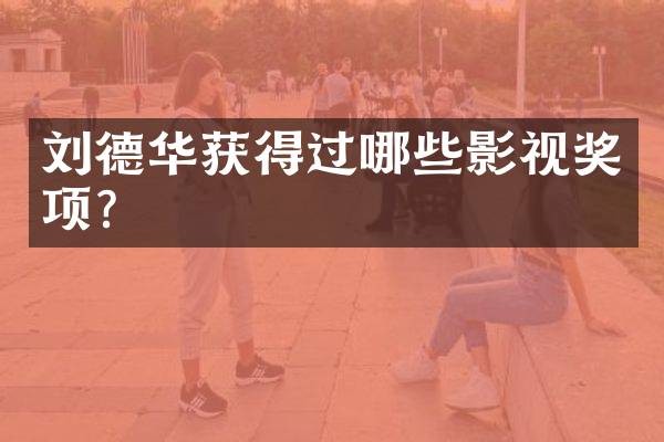 刘德华获得过哪些影视奖项？