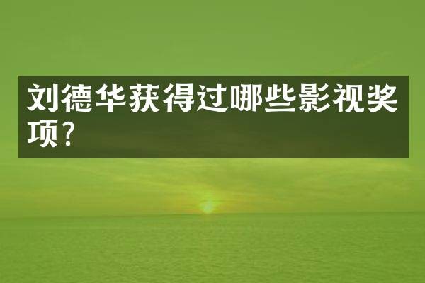刘德华获得过哪些影视奖项？