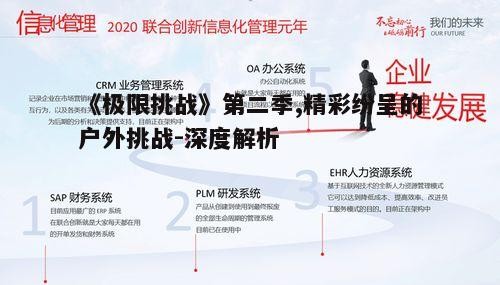 二、挑战项目的创新与意义