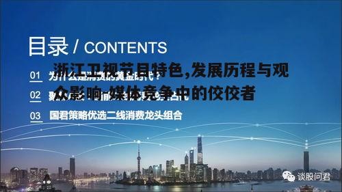 五、浙江卫视的未来展望