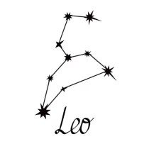 狮子座今日运势全解析：2025年2月9日专属指南