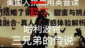 二、情感表达的真挚与深度