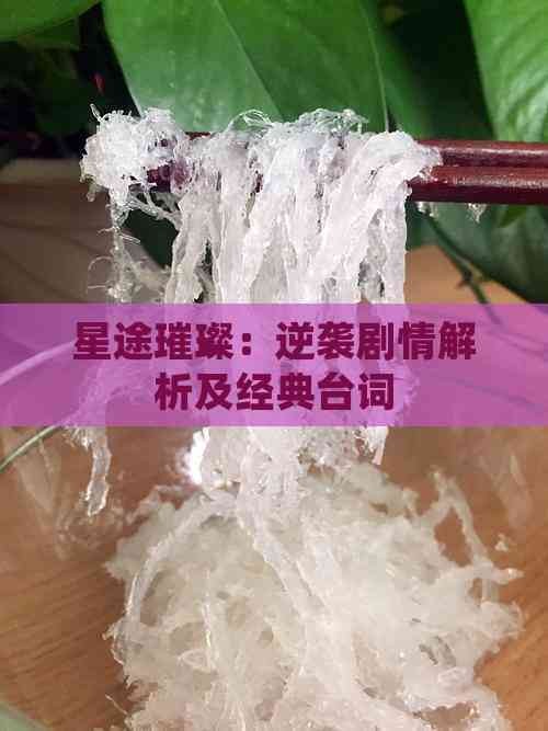 星途璀璨：逆袭剧情解析及经典台词