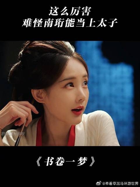 《书卷一梦》 这么厉害,难怪南珩能当上太子