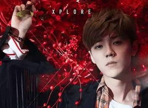 刘赤菲是哪个星座？揭秘明星星座！