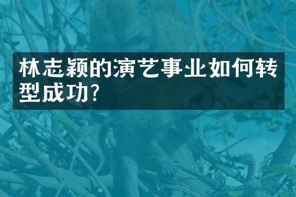 林志颖的演艺事业如何转型成功？