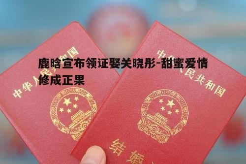 二、领证结婚的喜讯