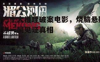 四、刑警成长故事:《湄公河行动》