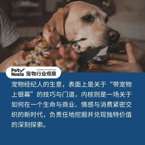 带宠物上银幕？宠物经纪人是一门什么生意?