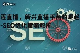 三、金莲直播的SEO优化策略