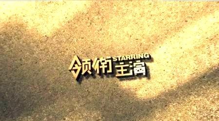 影视演员角色全解析：从领衔主演到友情出演