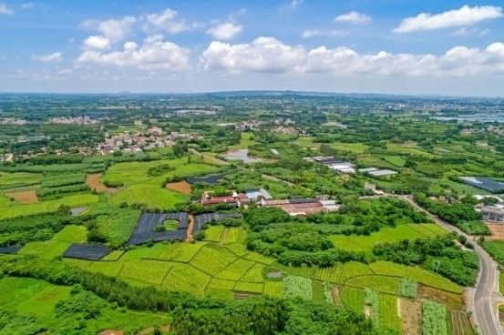 绿美经济富乡邻 麻章农业对外交流合作试验区擘画花卉产业振兴新图景