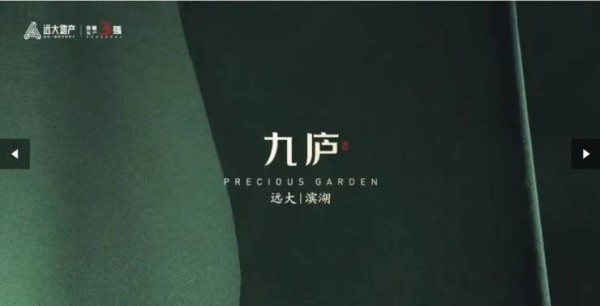 远大九庐项目户型图