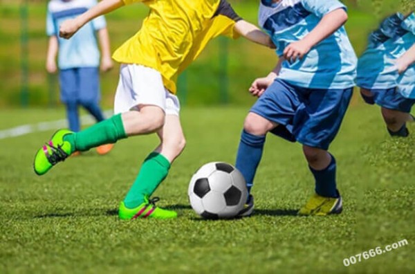 明星主播访谈：成功背后的故事