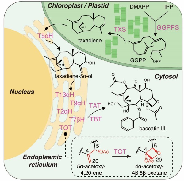生命科学联合中心