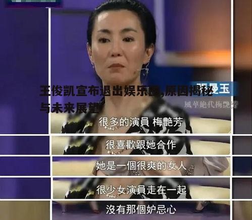 四、退出娱乐圈的可能影响