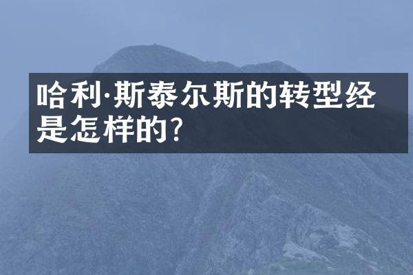 哈利·斯泰尔斯的转型经历是怎样的?