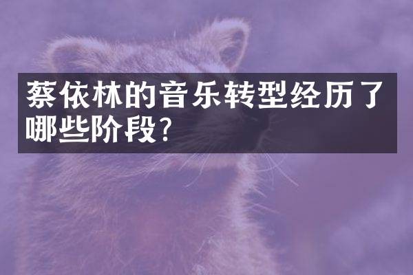 蔡依林的音乐转型经历了哪些阶段？