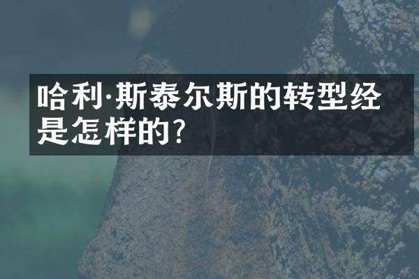 哈利·斯泰尔斯的转型经历是怎样的?
