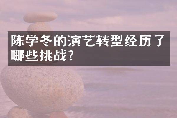 陈学冬的演艺转型经历了哪些挑战？